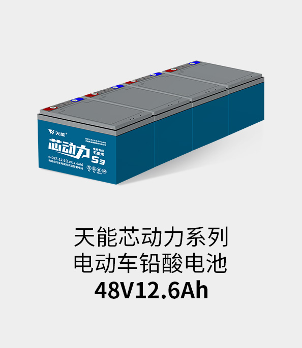 金沙集团1862cc成色电池48v12ah