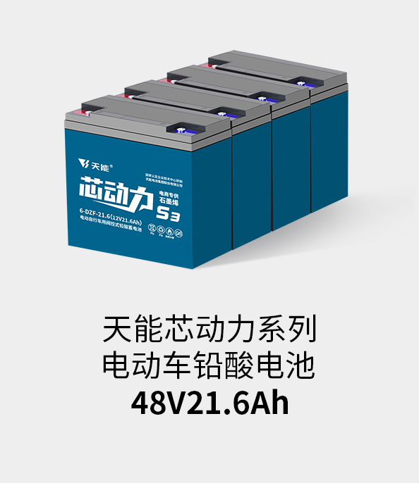 金沙集团1862cc成色电池48v20ah