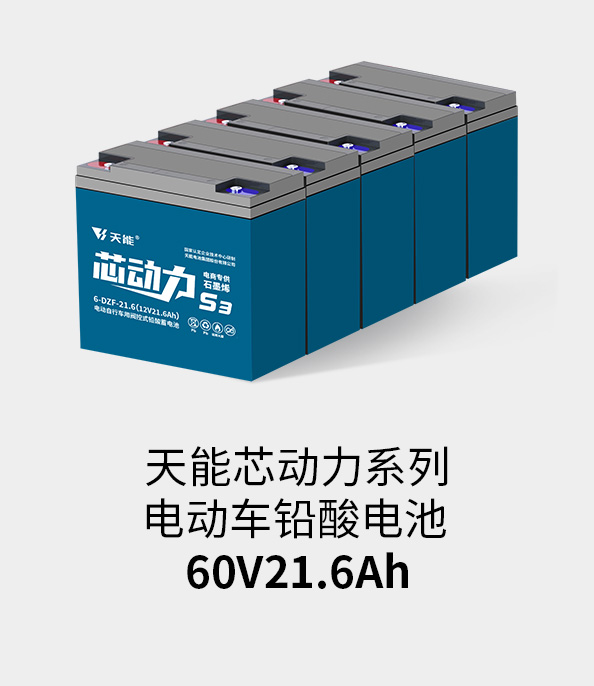金沙集团1862cc成色电池60v20ah