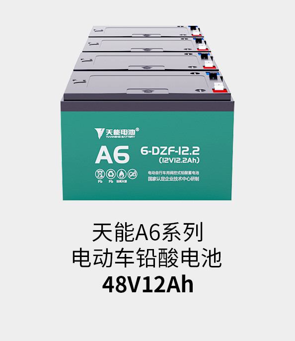 金沙集团1862cc成色电池48v12ah