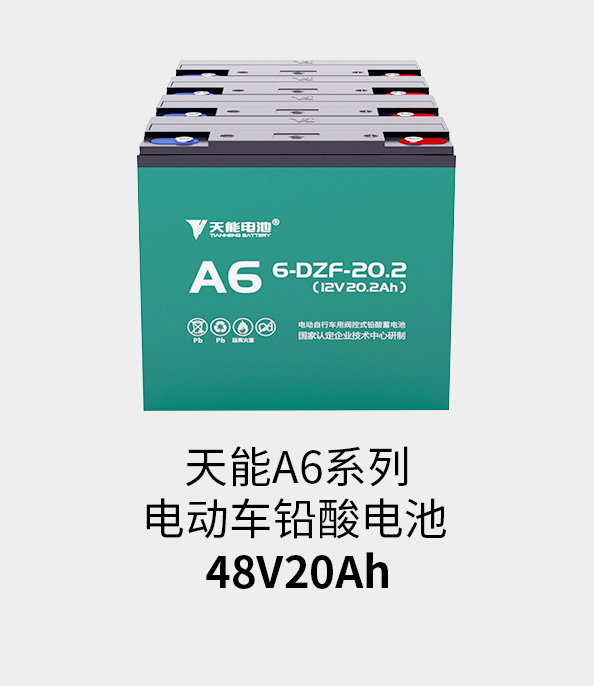 金沙集团1862cc成色电池48v20ah