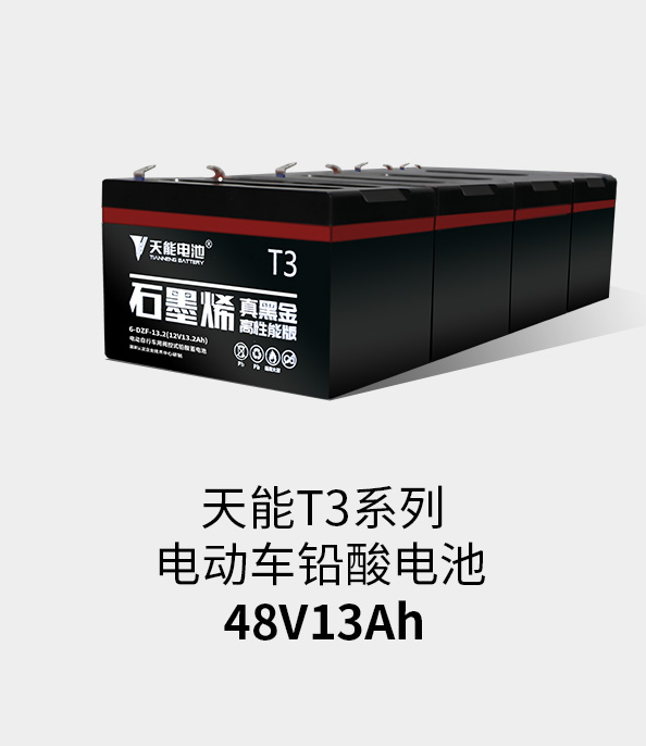 金沙集团1862cc成色T3系列48v13ah