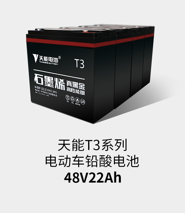 金沙集团1862cc成色T3系列48v22ah