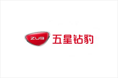 金沙集团1862cc成色电池合作伙伴 五星钻豹电动车